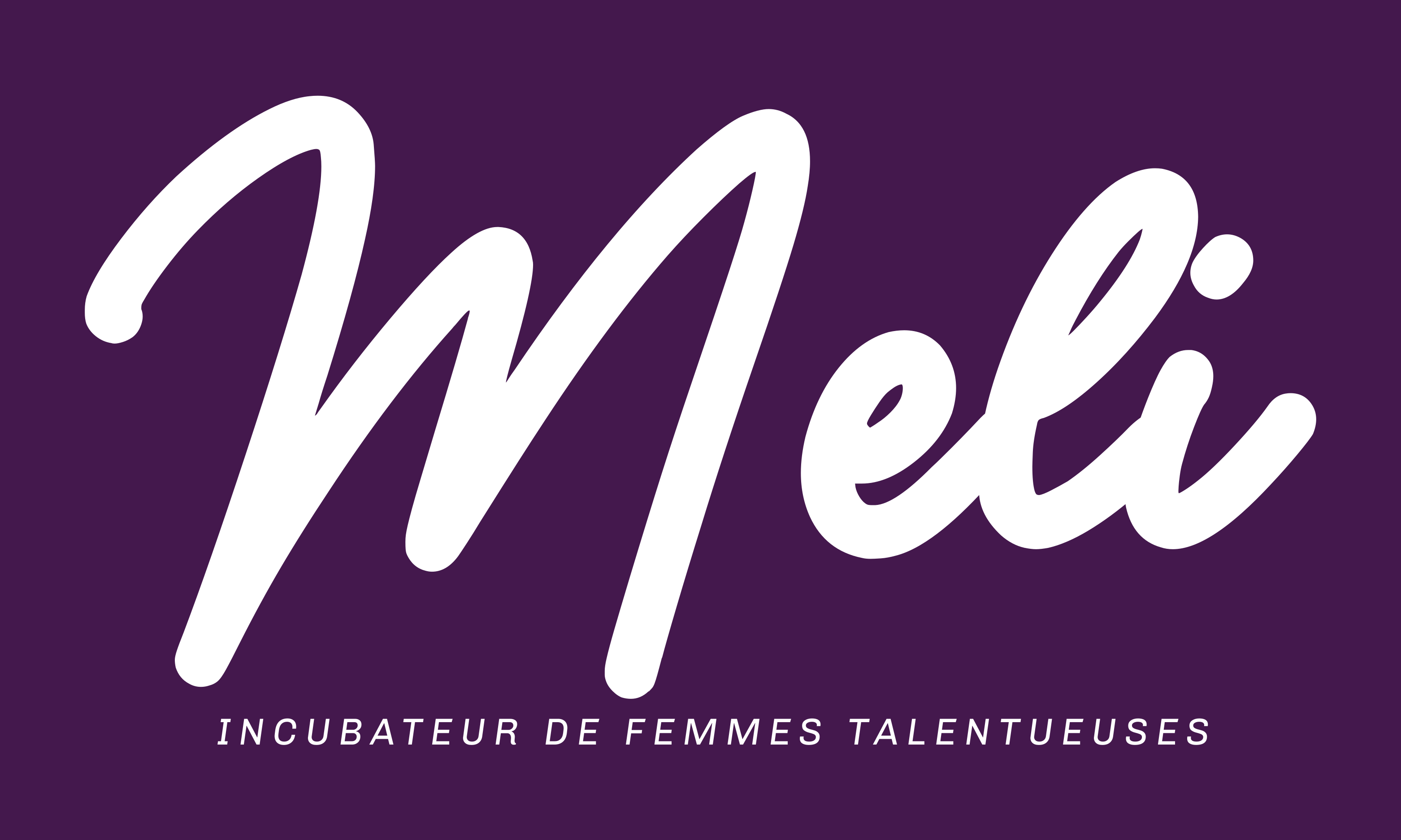 MELI CONSULTING
